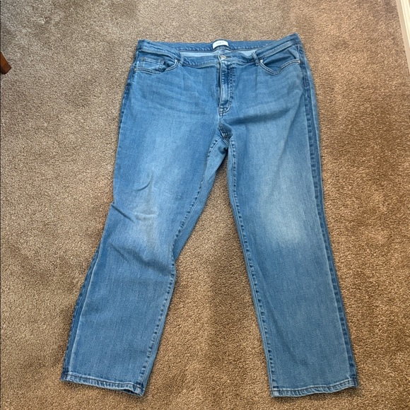 LOFT Denim - LOFT Classic Blue Jeans